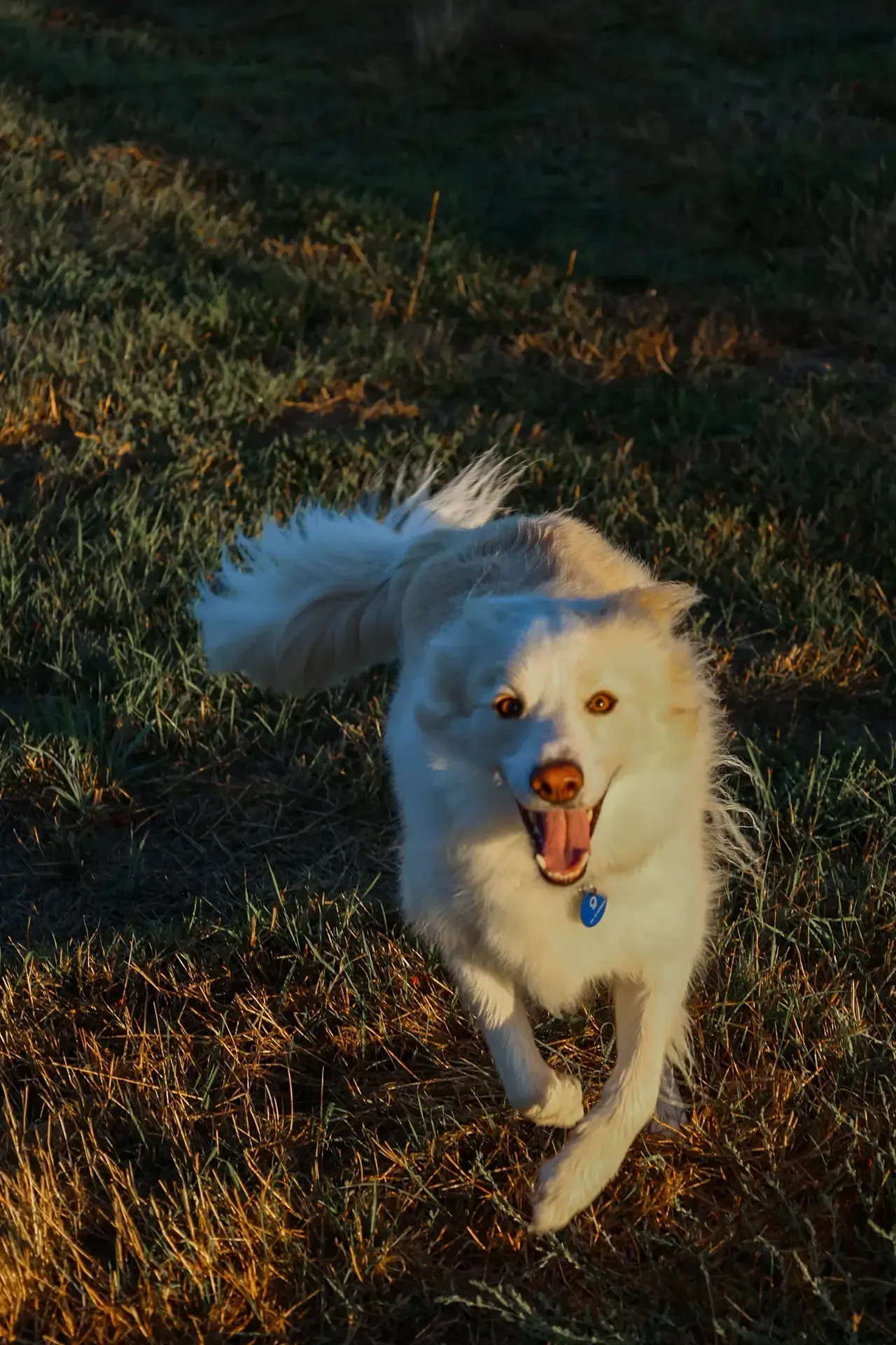 Jeffries Family Estate