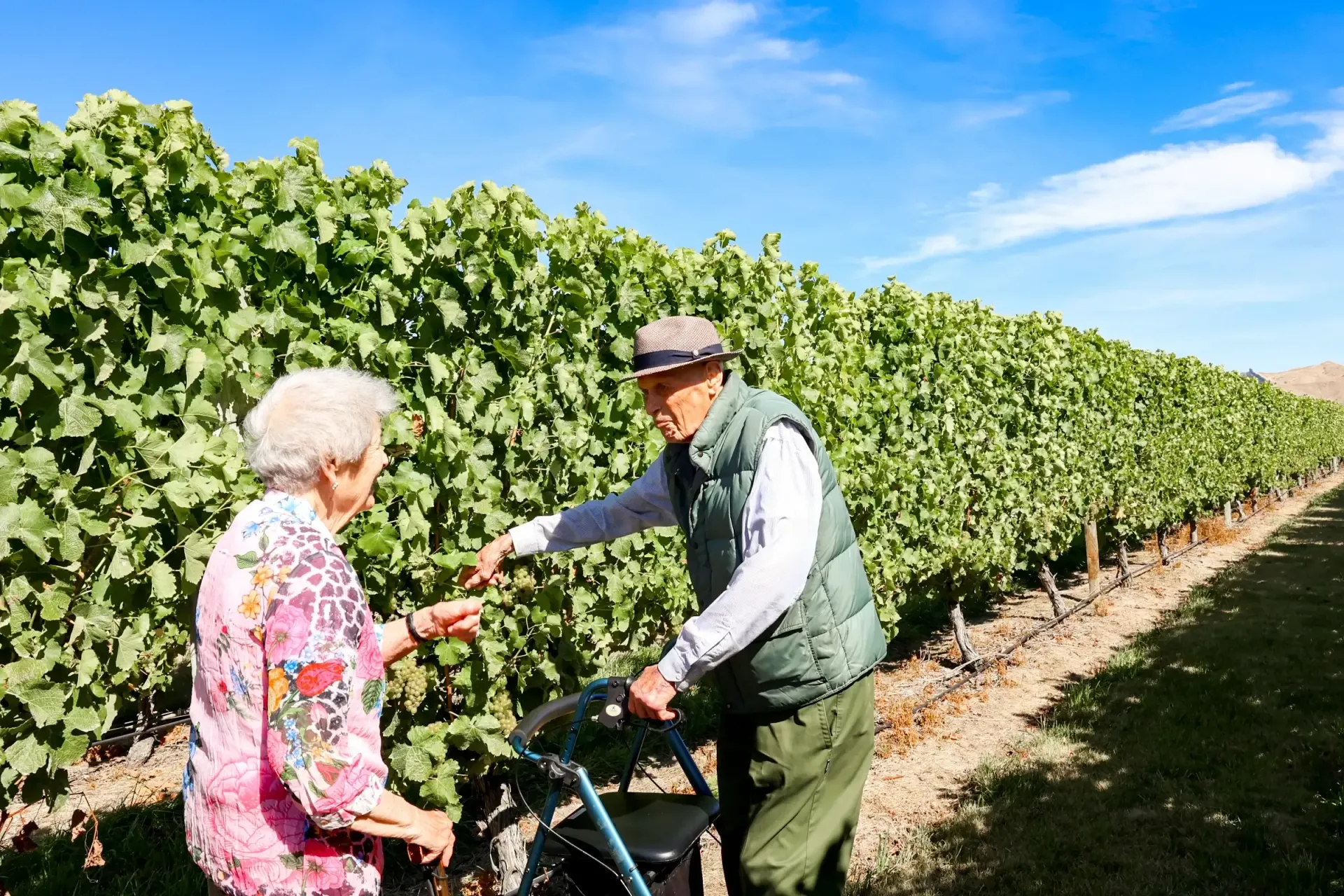 Jeffries family estate - Wholesale Wine