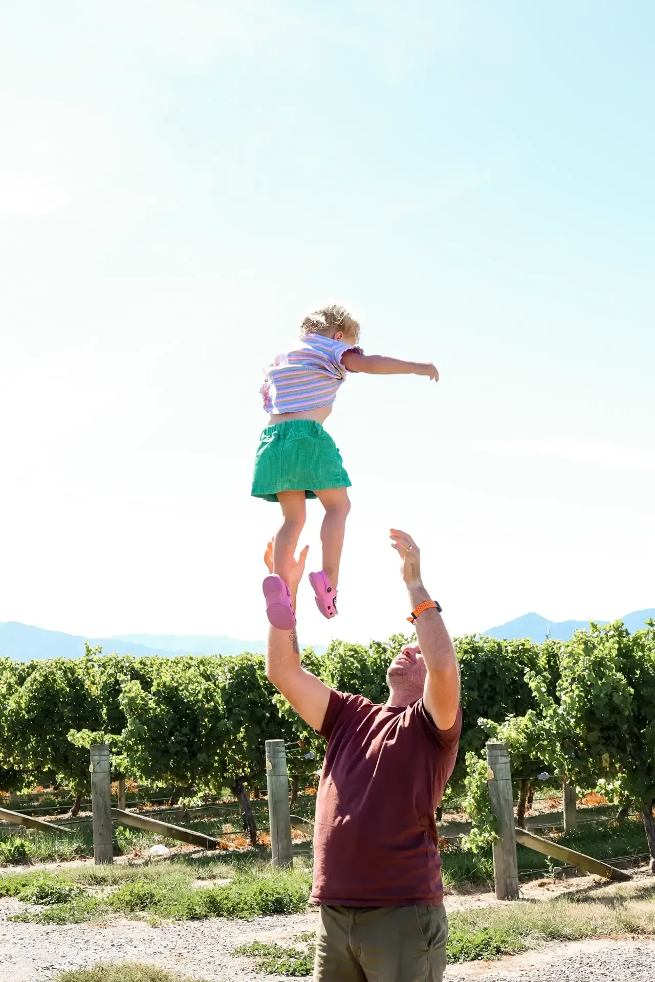 Jeffries family estate sauvignon blanc