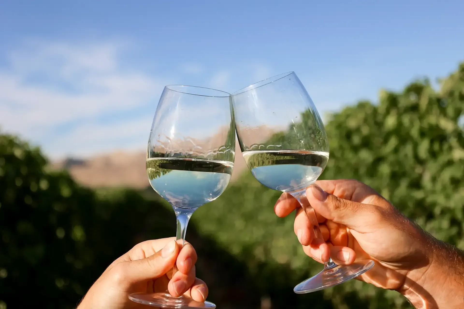 Marlborough sauvignon blanc - Jeffries family estate