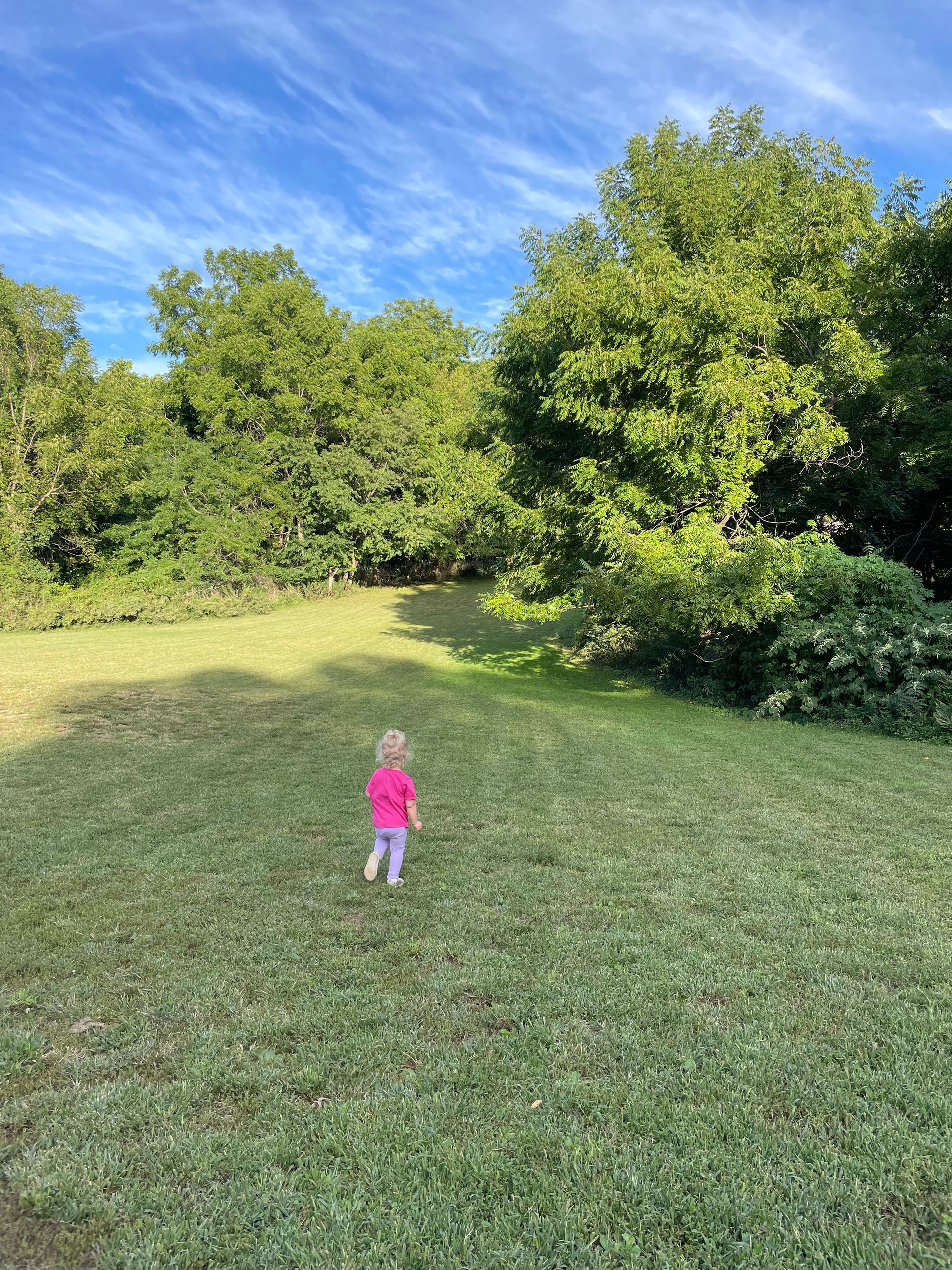 A little girl is walking through a grassy field with trees in the background.