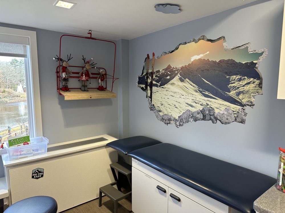 A doctor 's office with a painting of a mountain on the wall.