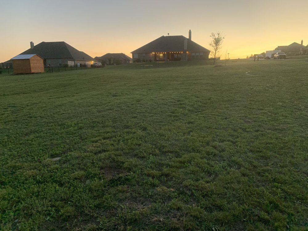 A lush green field with houses in the background at sunset.