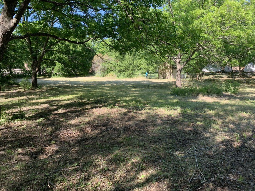 A large grassy field surrounded by trees on a sunny day.