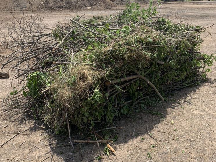A pile of branches and leaves is sitting on the ground.