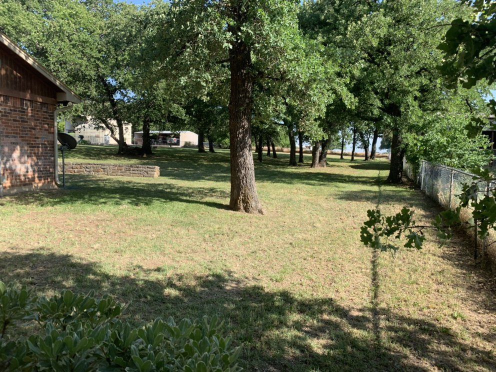 A lush green field with trees and a house in the background.