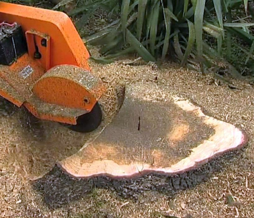 A tree stump is being removed by a machine.