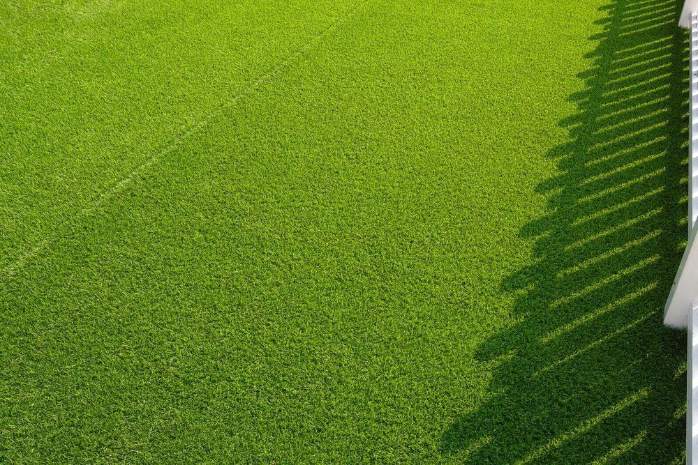 Grass with a shadow of a fence — Turf Central In Airlie Beach, QLD