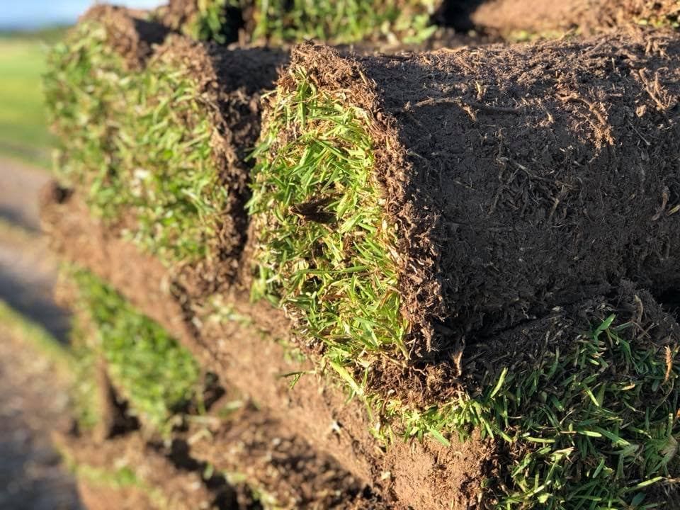 A Pile of Rolls of Turf Sitting on Top of Each Other in a Field — Turf Central In Chelona, QLD