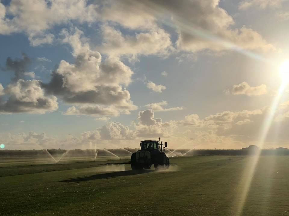 A Tractor is Spraying Water on a Lush Green Field — Turf Central In Chelona, QLD