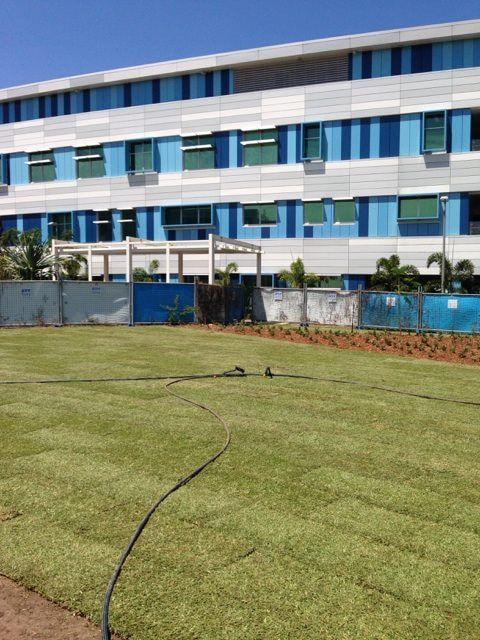 A Large Building With a Lawn in Front of It — Turf Central In Chelona, QLD
