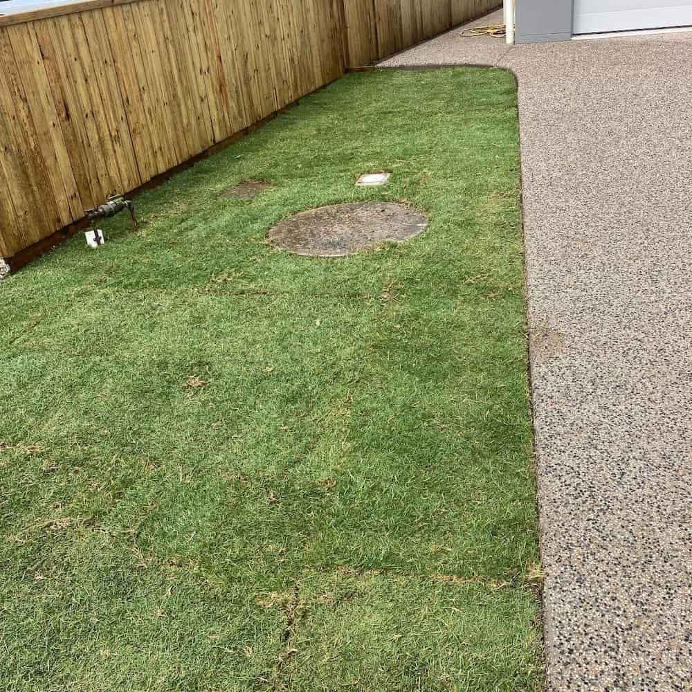 A Lush Green Lawn With a Wooden Fence in the Background — Turf Central In Chelona, QLD