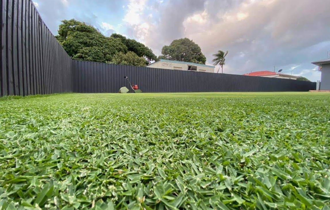 Grass with a fence and mower in the background — Turf Central In Chelona, QLD