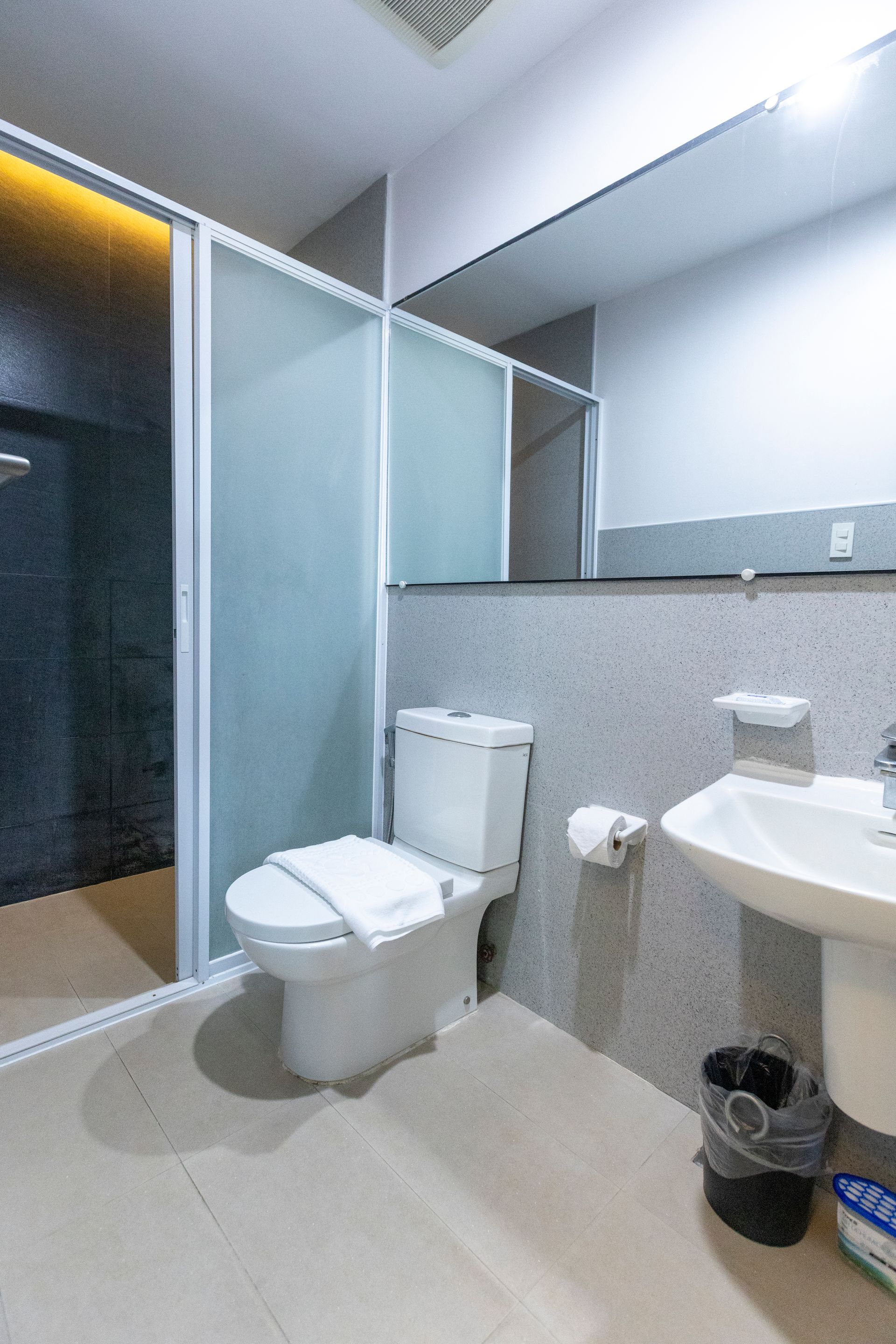 Bathroom with a white toilet, sink, frosted glass shower door, and gray speckled wall.