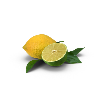 un limone e un lime con foglie su sfondo bianco
