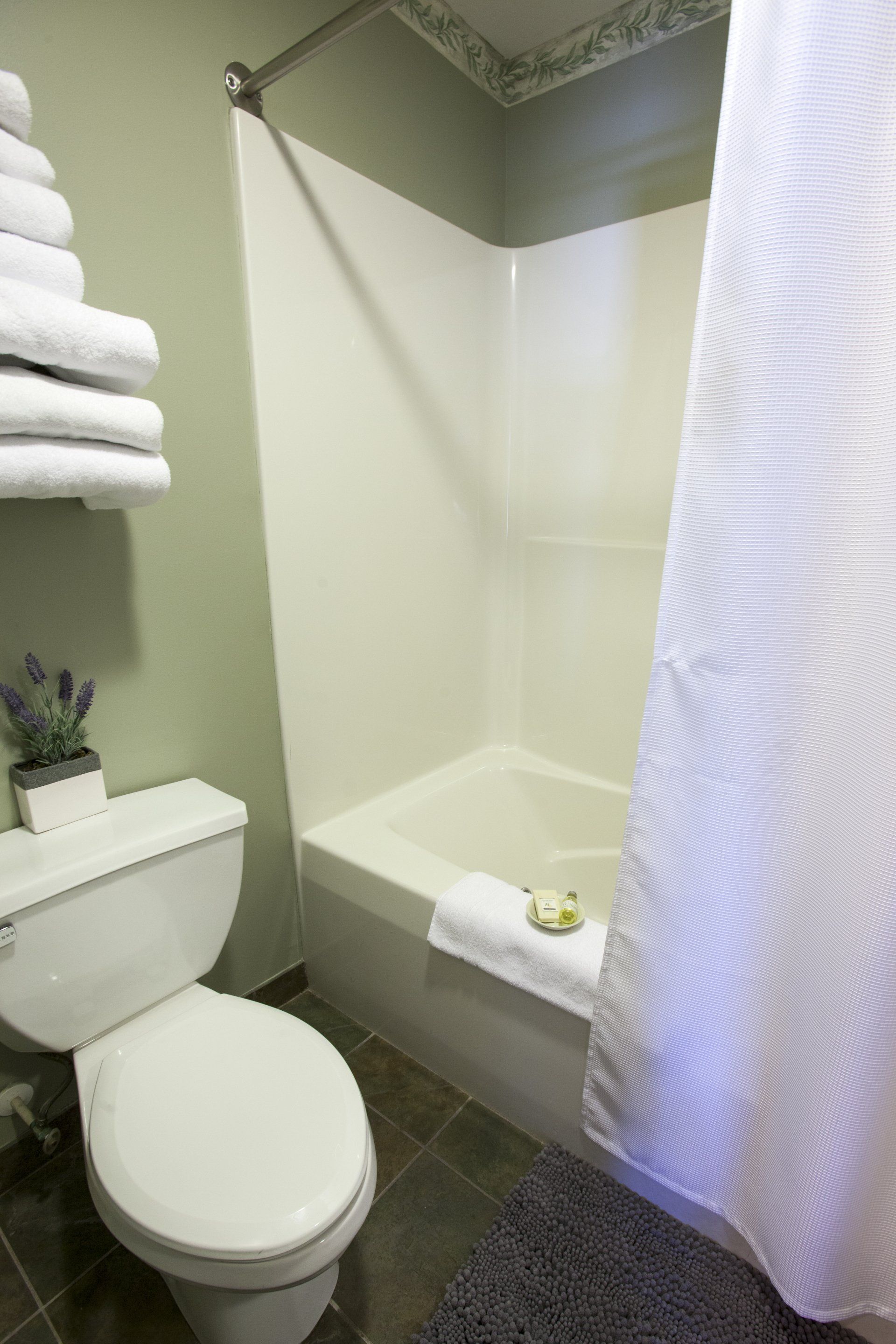 Bathroom with a plant and stacked towels behind the toilet and a white shower curtain.