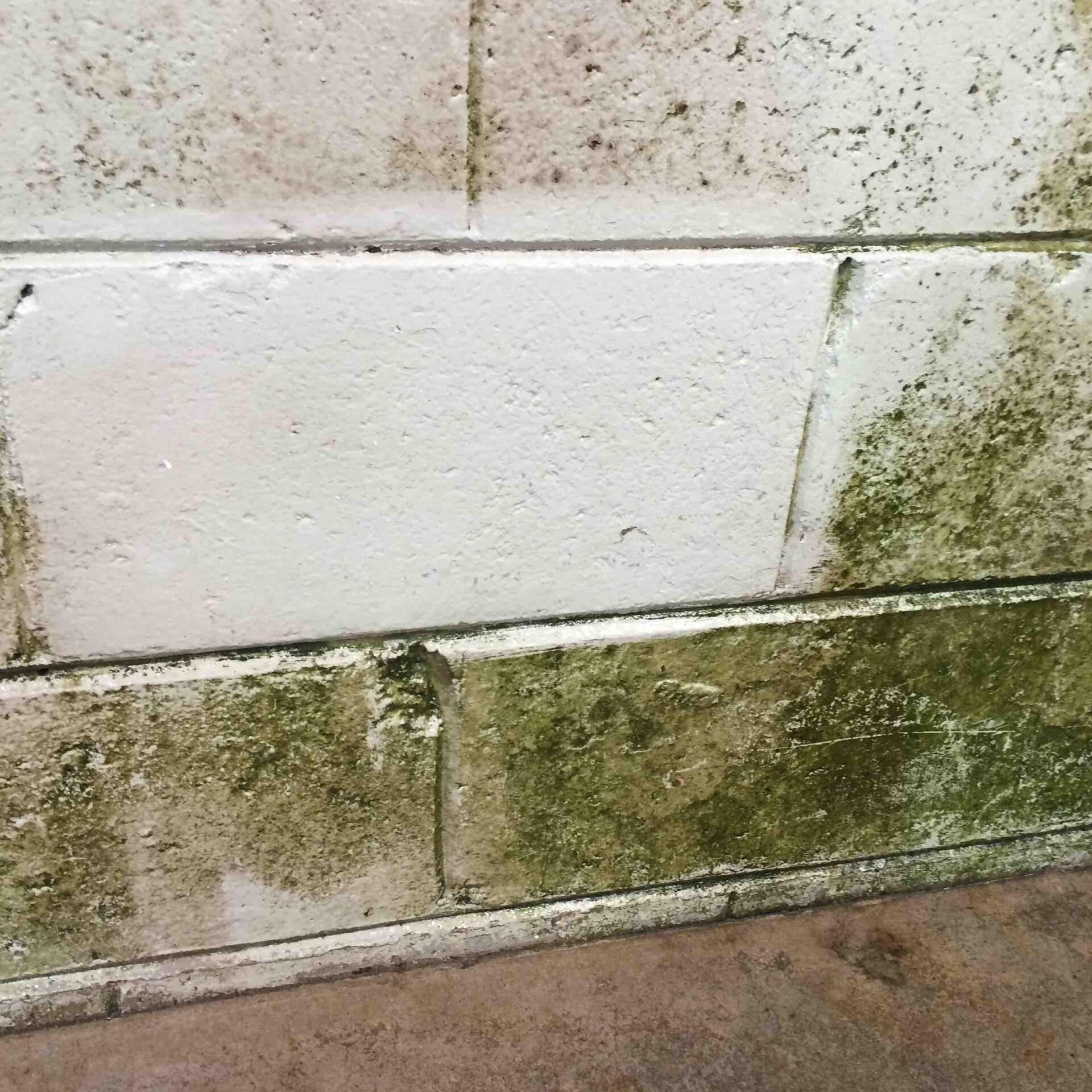wall tiles