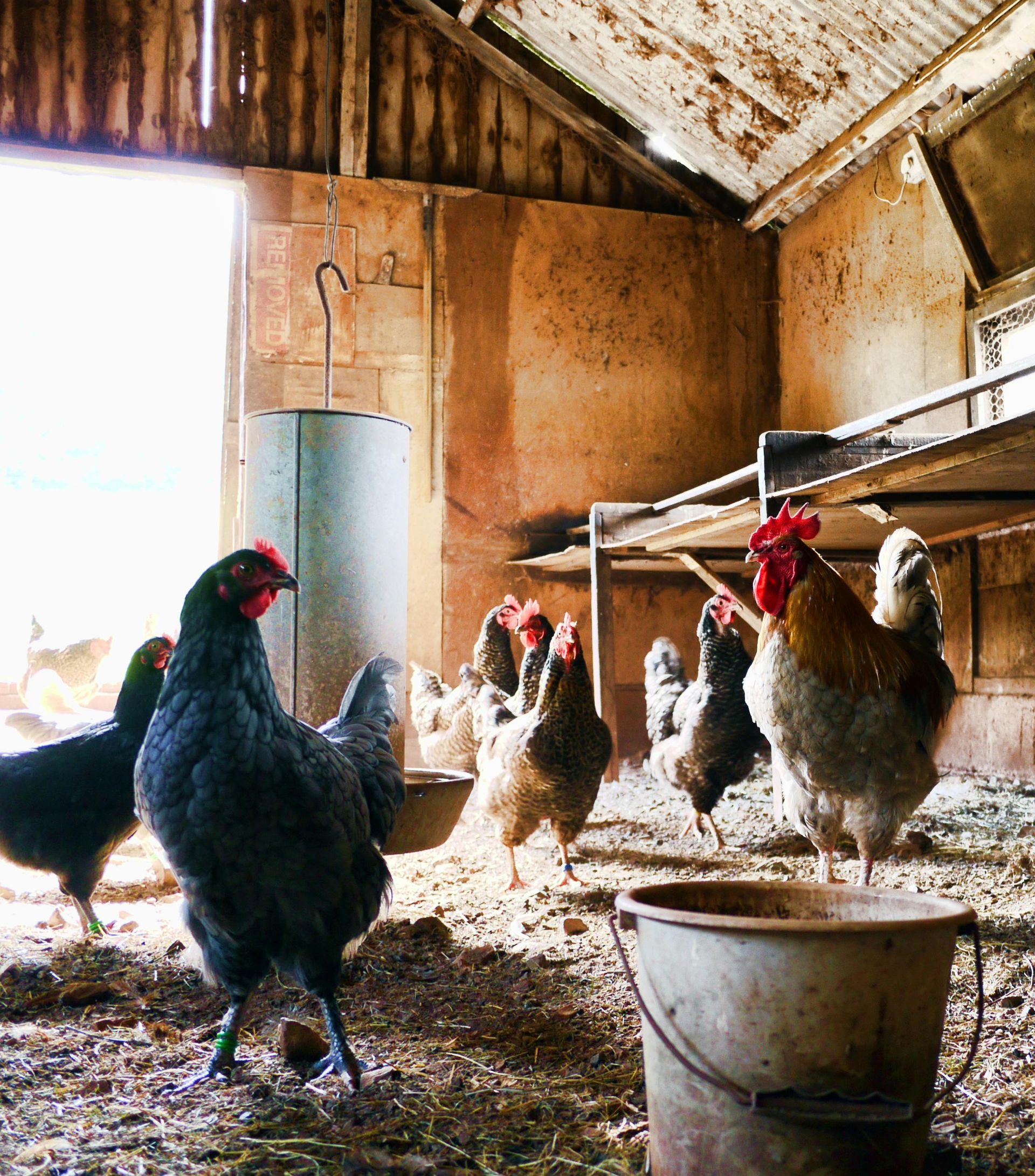 Agriculture Industry