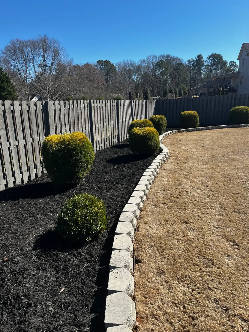 A landscaped yard with small, round shrubs in black mulch, bordered by stone edging against a wood fence and dry grass.