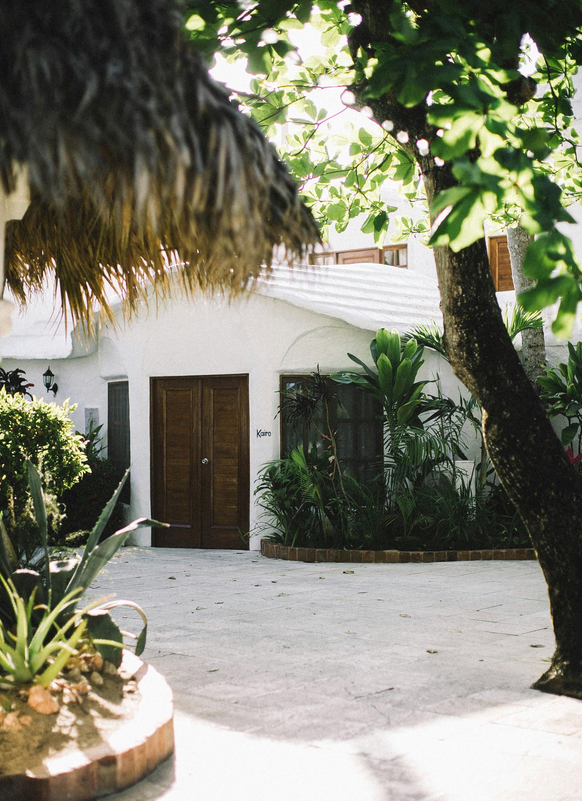 A white house with a thatched roof and a tree in front of it.