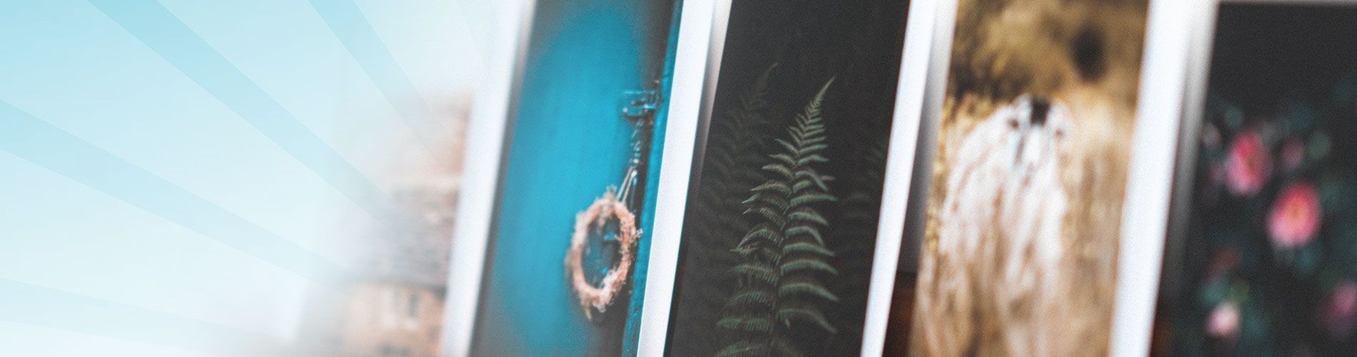 summer photos on a blue background