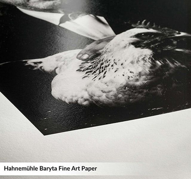 Hahnemühle Fine Art Baryta is a bright white, cellulose-based classic paper with exquisitely soft feel and tactile surface texture.