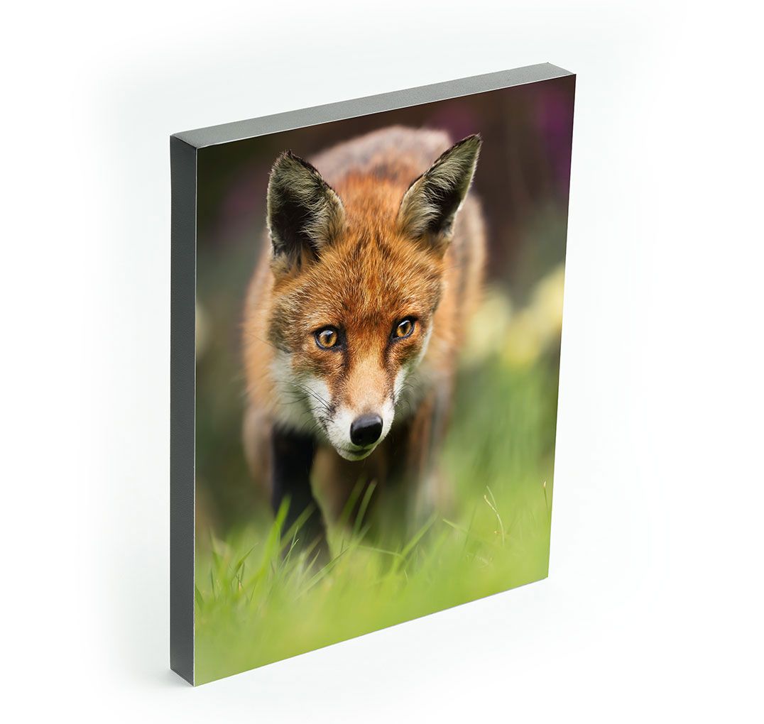 Two pictures of a man and a woman are printed on studio blocks that are hanging on a wall above a couch and small coffee table.