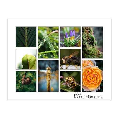 Collage Prints image