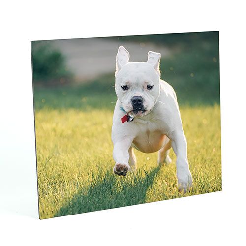 Presentation Prints > image