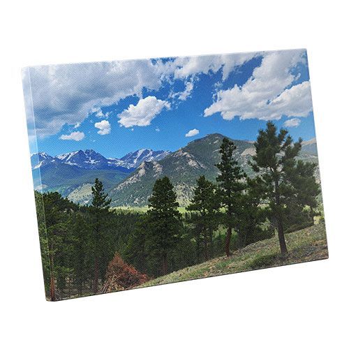 Canvas Prints > image