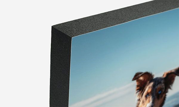 A picture of a dog mounted to thick edge 1.5