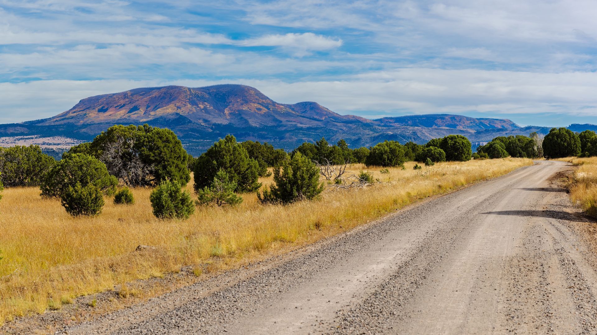 A dirt road going through a field with mountains in the background.