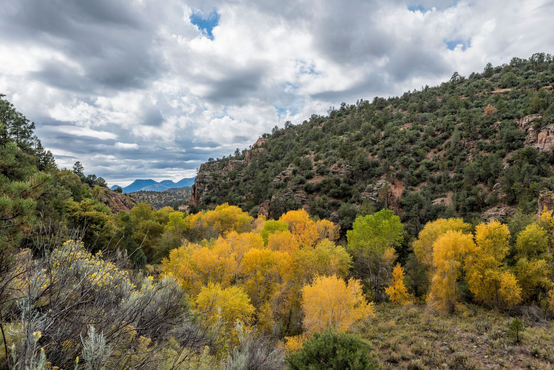 Vibrant yellow and green trees in a canyon against a backdrop of forested hills under a cloudy sky.
