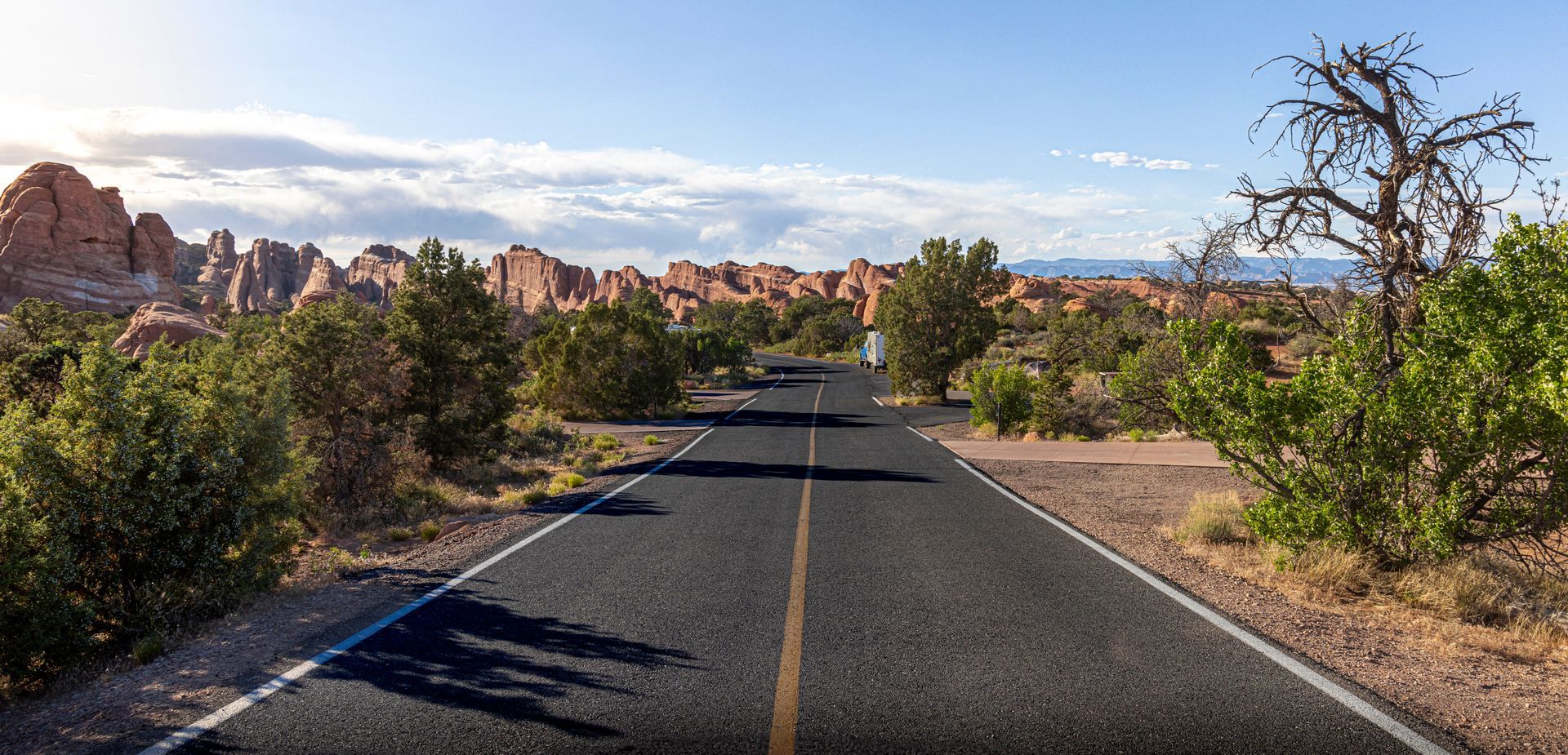 A road in the desert with trees on both sides and mountains in the background.