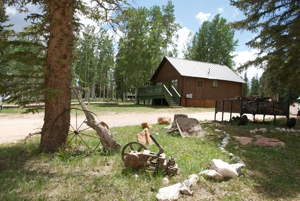 A wooden house with a metal roof is surrounded by trees
