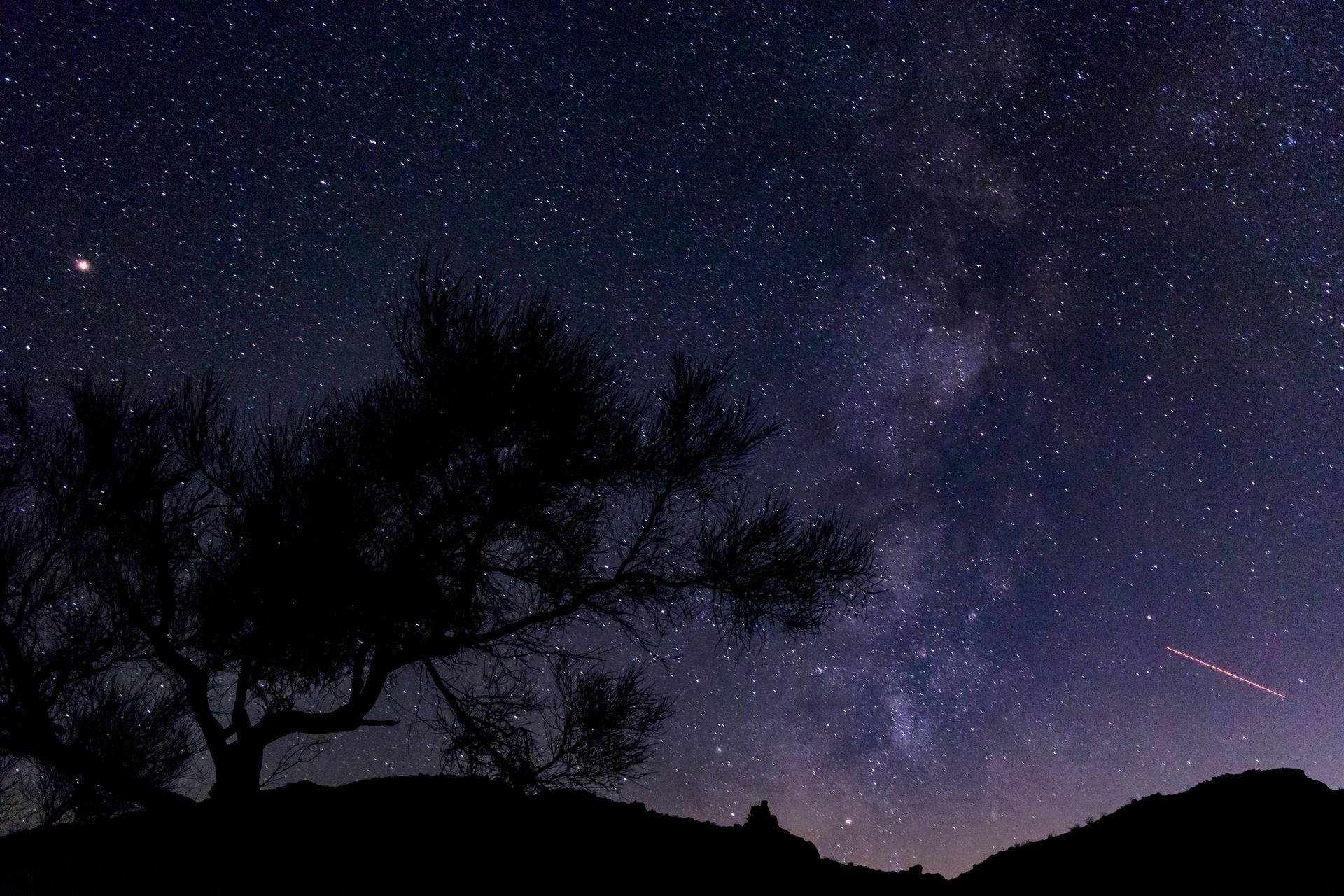 Silhouetted tree against a dark night sky filled with stars and a streak of light.