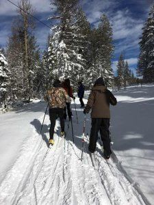 A group of people are cross country skiing down a snow covered trail.