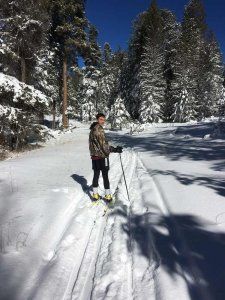 A man is cross country skiing on a snowy trail in the woods.