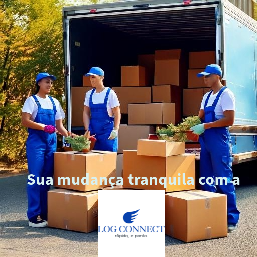Uma equipe realizando uma mudança residencial, com profissionais uniformizados carregando caixas e m