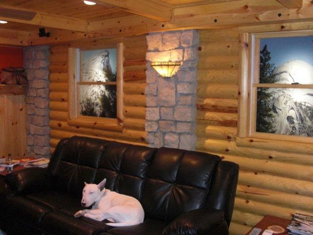 A dog is laying on a couch in a log cabin