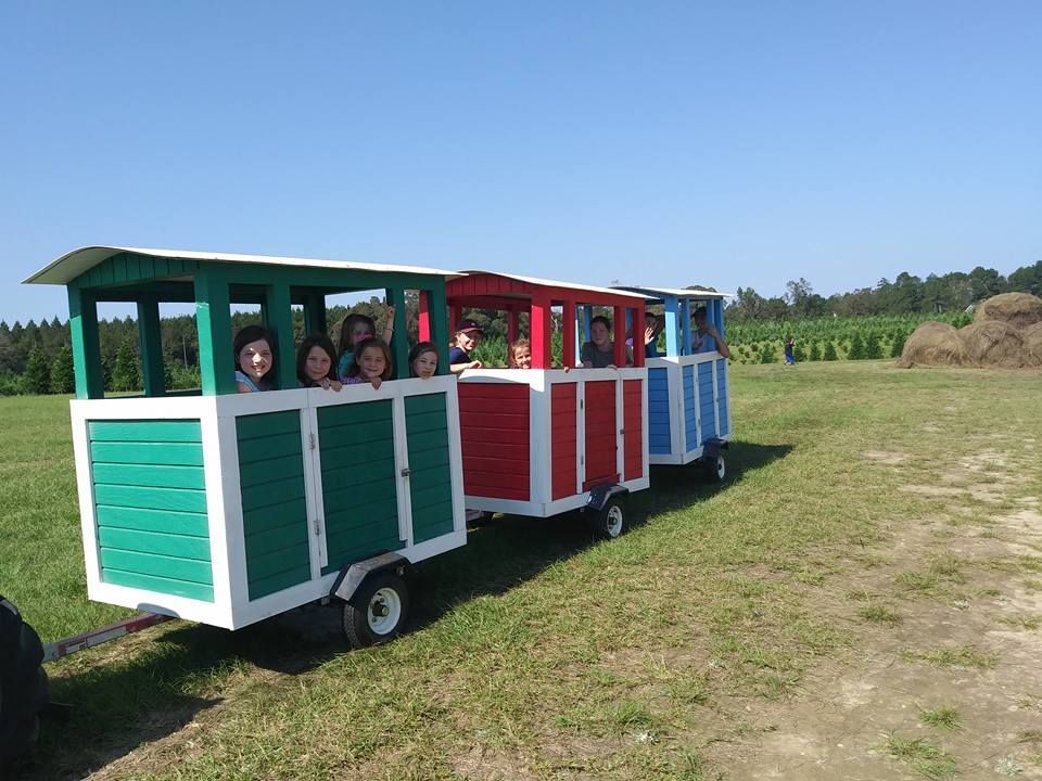 Children ride a colorful train with green, red, and blue cars on a grassy field on a sunny day.