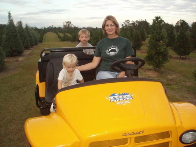 Woman driving yellow vehicle with two children in a Christmas tree farm.