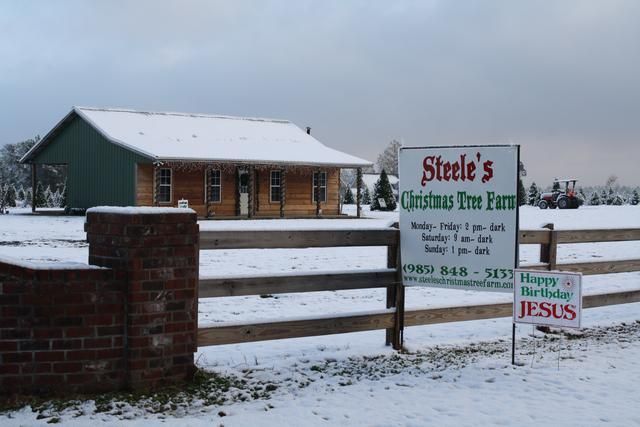 Steele's Christmas Tree Farm in snow. Sign, wooden fence, building, and 