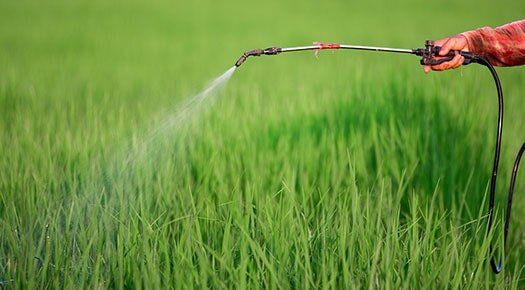 Spraying Pesticide - Pest Control in Wetminster, CO