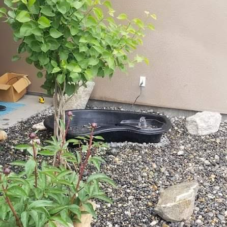 A small pond with a fountain in it is surrounded by rocks and plants.