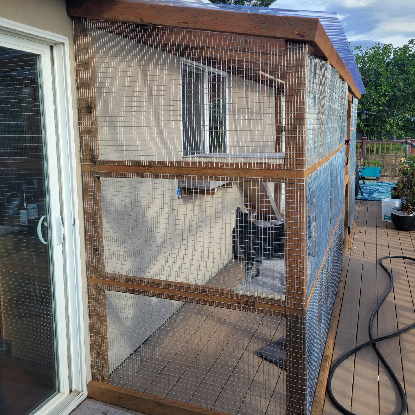 A cat in a cage on a deck next to a house.
