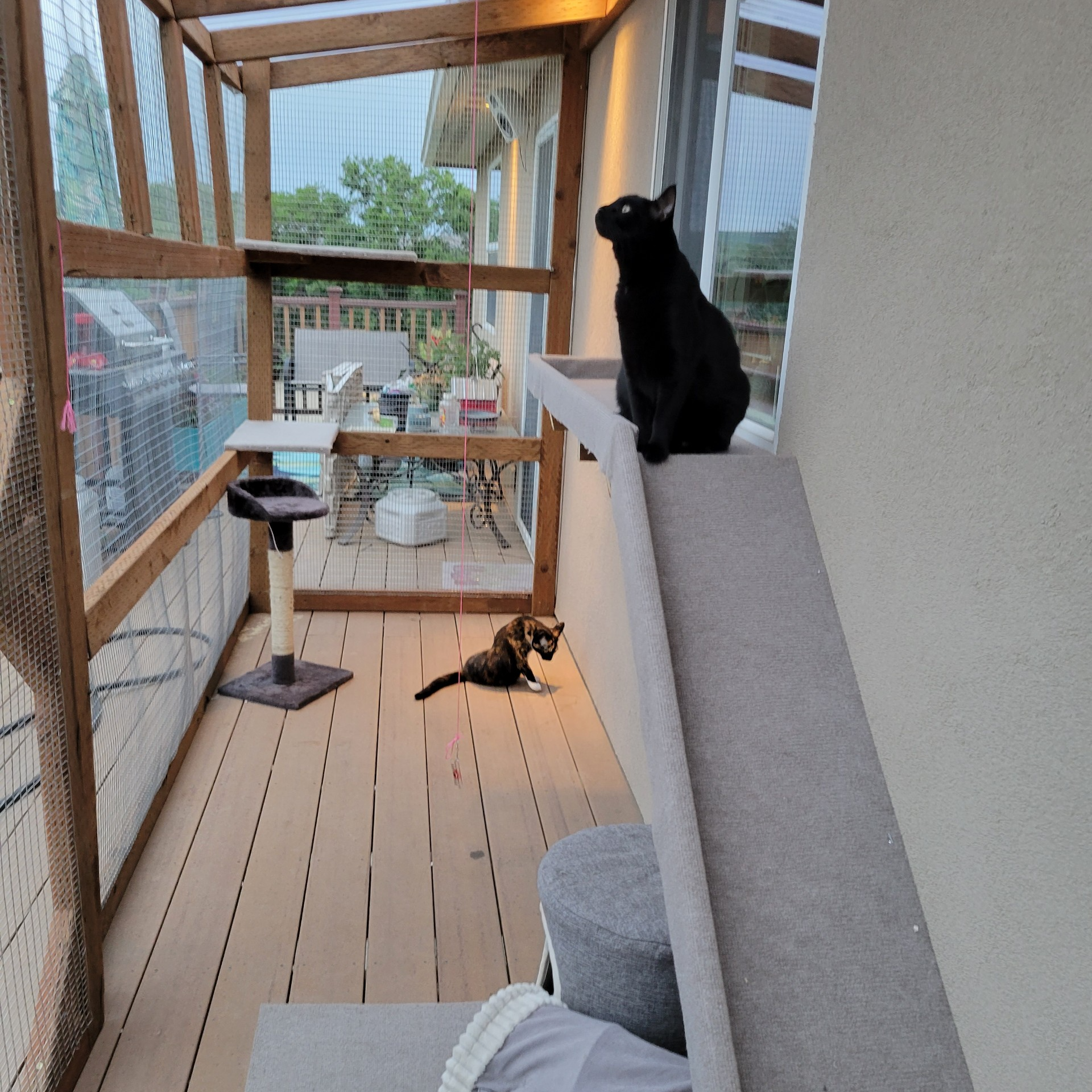 A black cat is sitting on a ledge on a balcony