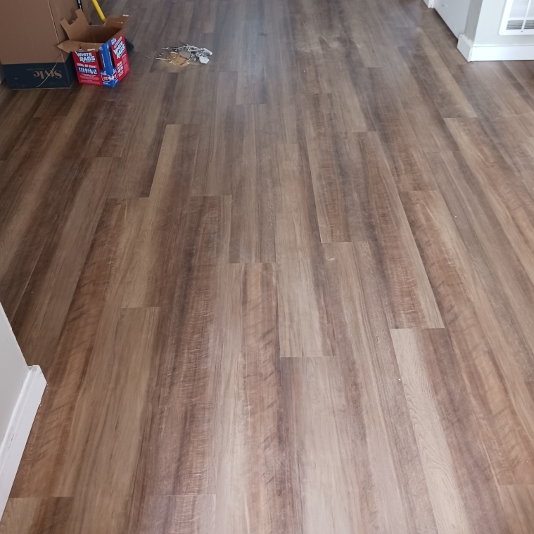 A mop is sitting on a wooden floor in a room.
