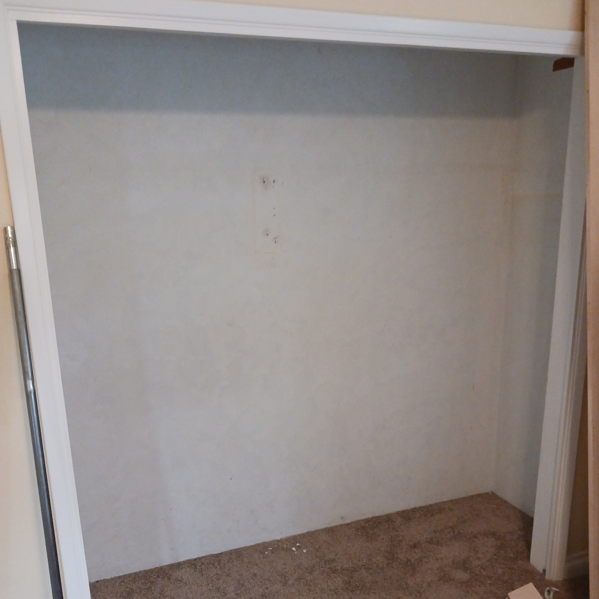 An empty closet with a carpeted floor and a white door