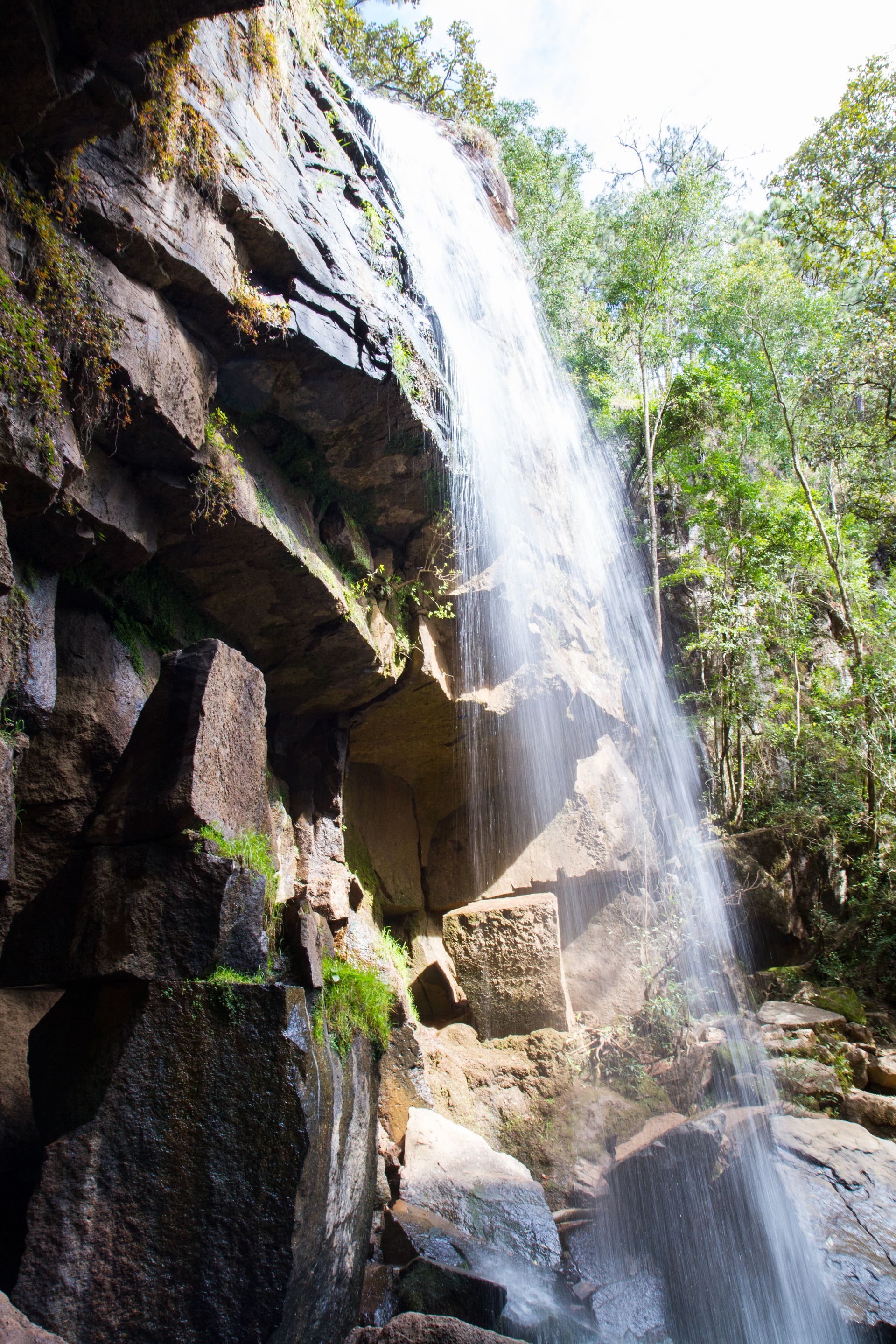 Una cascada baja por un acantilado rocoso en el bosque.